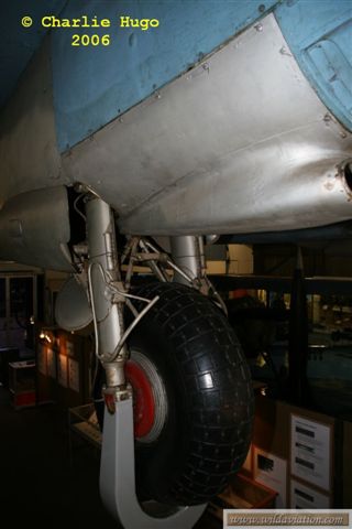 IMG 5507