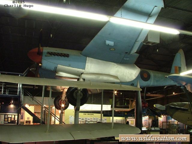 charlieH Mosquito 51