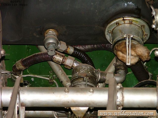 charlieH Mosquito 53
