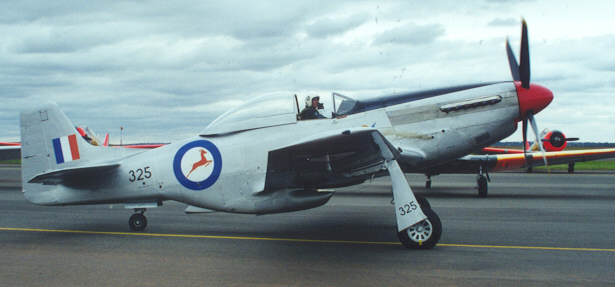 MUSTANG3