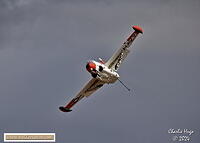 AAD 2024 3B6A10186