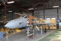 ZWT Cheetah C CP5O0056