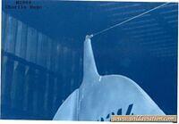 tailantennapost2