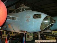 Mosquito