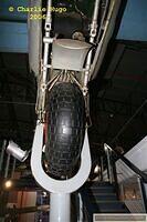 IMG 5512
